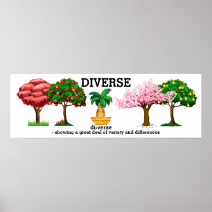 DIVERSE - Vokabularposter Poster