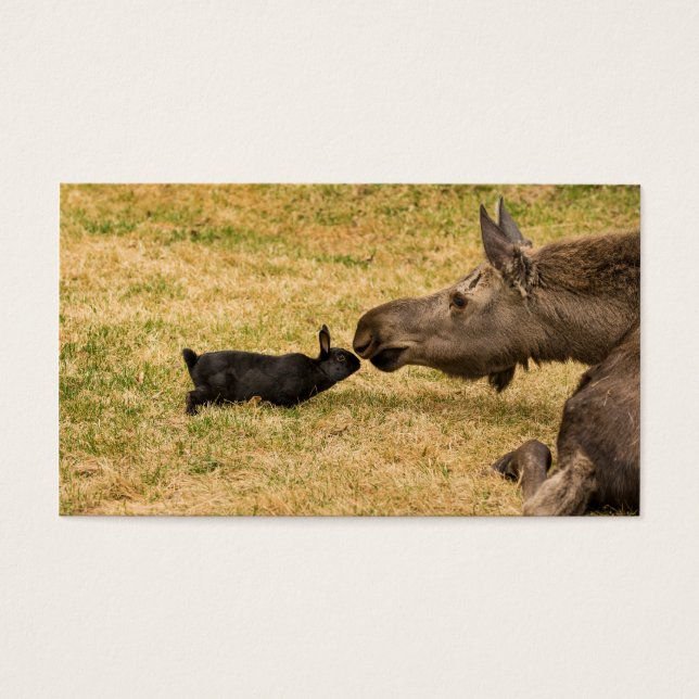 Diversity (Vorderseite)