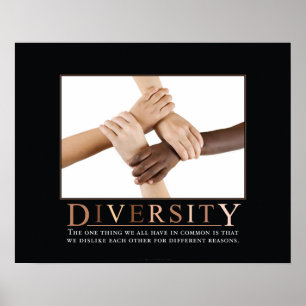 Diversity Demotivational Plakat