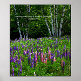 Diversity in einem Lupinefeld Poster