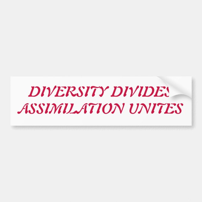 Diversity ist zum Kotzen Autoaufkleber (Vorne)