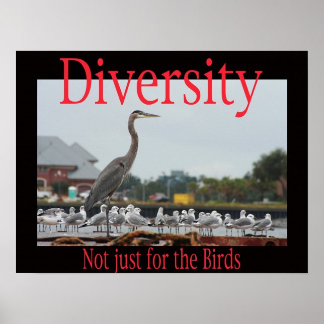 Diversity, not just for the birds poster (Vorne)