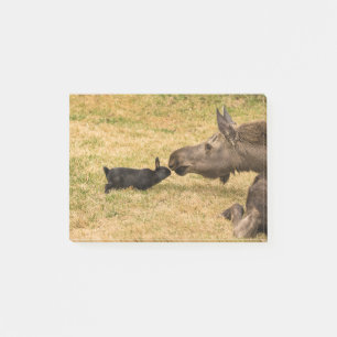 Diversity Post-it Klebezettel