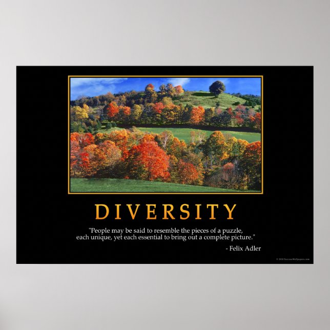 Diversity Poster (Vorne)