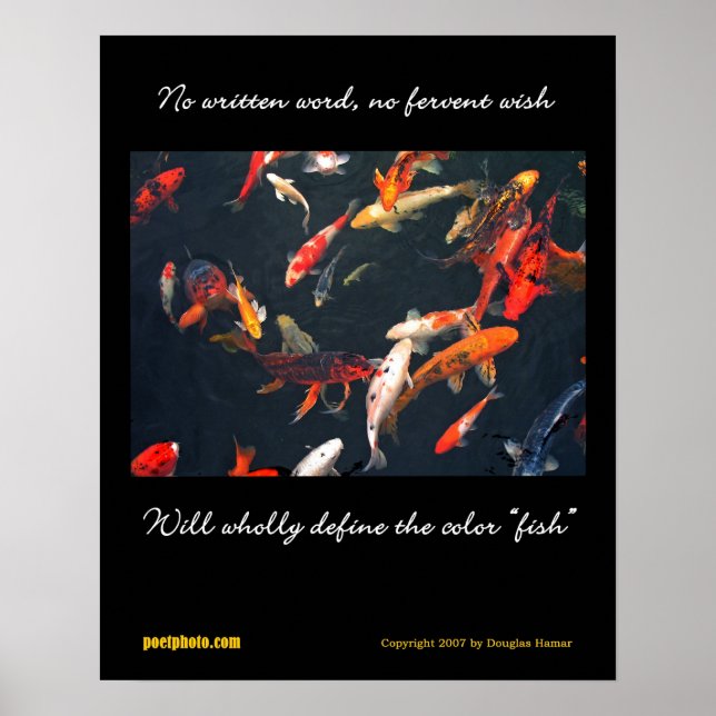 Diversity-Poster Poster (Vorne)