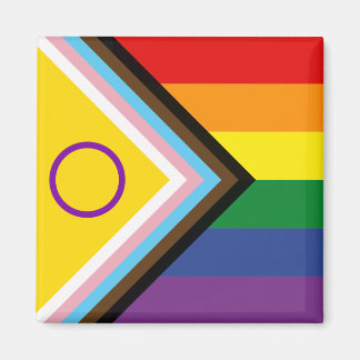Diversity- und Inklusionsfortschritt - Flag Magnet