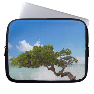Divi Divi Baum, Eagle Beach, Aruba, Karibik Laptopschutzhülle