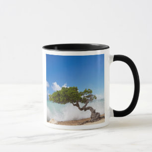 Divi Divi Baum, Eagle Beach, Aruba, Karibik Tasse