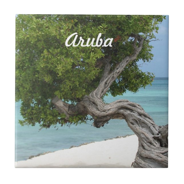 Divi Divi Baum in Aruba Fliese (Vorderseite)
