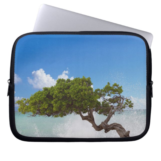 Divi Divi Tree, Eagle Beach, Aruba, Karibik Laptopschutzhülle (Vorderseite)