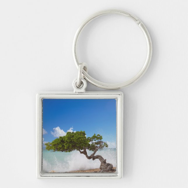 Divi Divi Tree, Eagle Beach, Aruba, Karibik Schlüsselanhänger (Vorne)
