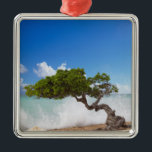 Divi Divi Tree, Eagle Beach, Aruba, Karibik Silbernes Ornament<br><div class="desc">COPYRIGHT Paul Thompson / DanitaDelimont.com| CA04 PTH0005.jpg| Divi Divi Tree, Eagle Beach, Aruba, Karibik</div>