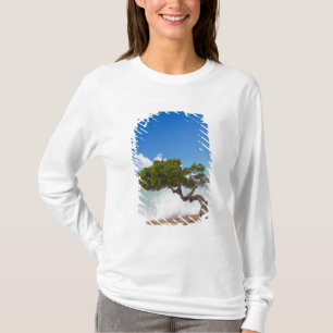 Divi Divi Tree, Eagle Beach, Aruba, Karibik T-Shirt