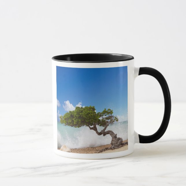 Divi Divi Tree, Eagle Beach, Aruba, Karibik Tasse (Rechts)