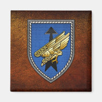 Division Spezielle Operationen [DSO]
