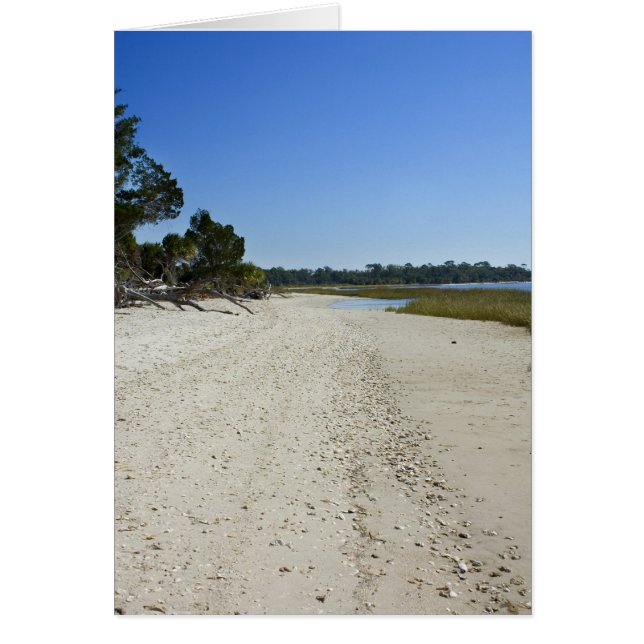 Dixie Landkreis Beach Blank Card (Vorne)