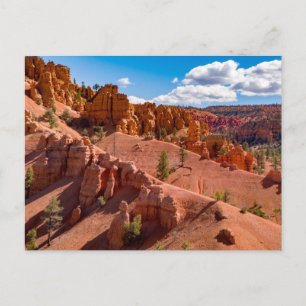 Dixie National Forest Landscape Foto Postkarte