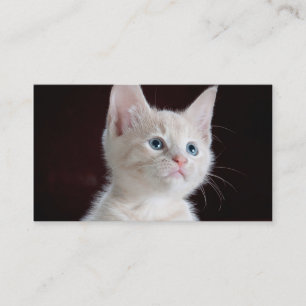 DIY Antriebskraft Ihr Foto-Gewohnheits-freier Raum Visitenkarte