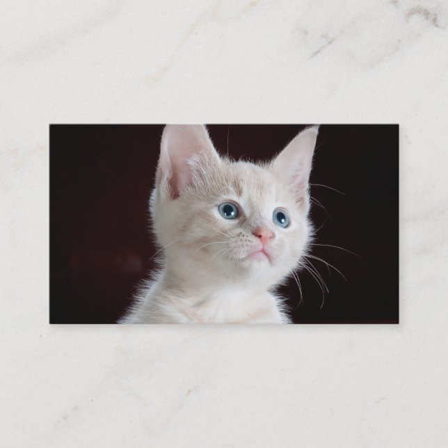 DIY Antriebskraft Ihr Foto-Gewohnheits-freier Raum Visitenkarte (Vorderseite)