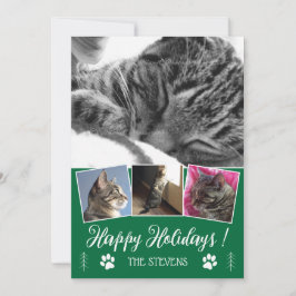 DIY Cat Foto Collage Green Holiday Flat Card Einladung