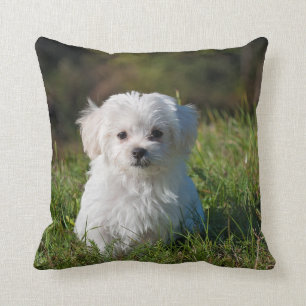 DIY - Drucken auf einem PILLOW - Hinzufügen von Bi Kissen