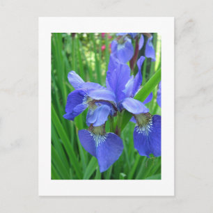 DIY, Erstelle deine eigene, füge dein Bild oder Te Postkarte