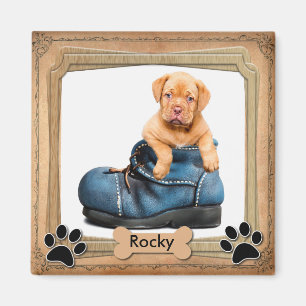 DIY Family Pet Foto Magnet
