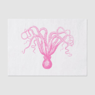 DIY Farben Stilisierte Oktopus-Zeichnung #8 HotPin Seidenpapier