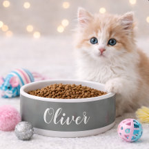 DIY Pet Bowl | Individuelle Name, Farbe, Text