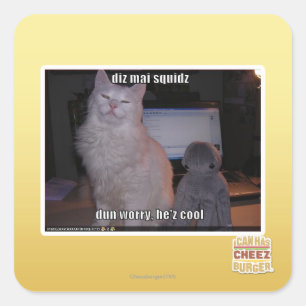 Diz mai squidz quadratischer aufkleber