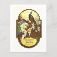 Djer Kiss Fairies und Peacock