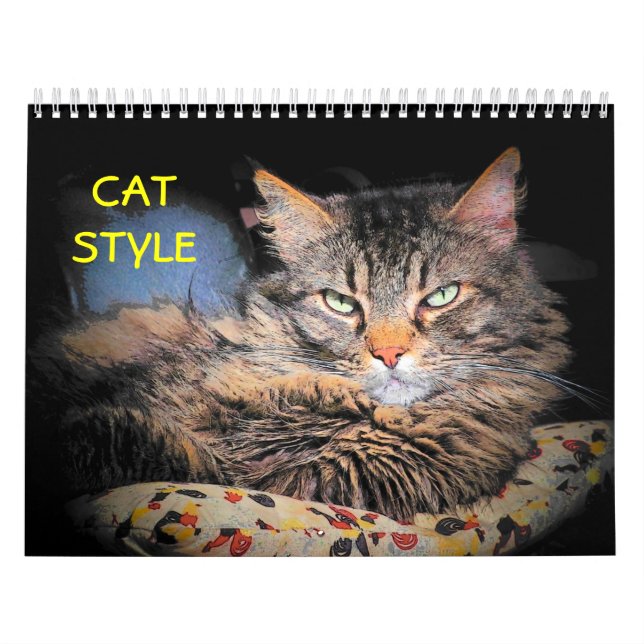 DJ's Cat Style 2 Kalender (Titelbild)