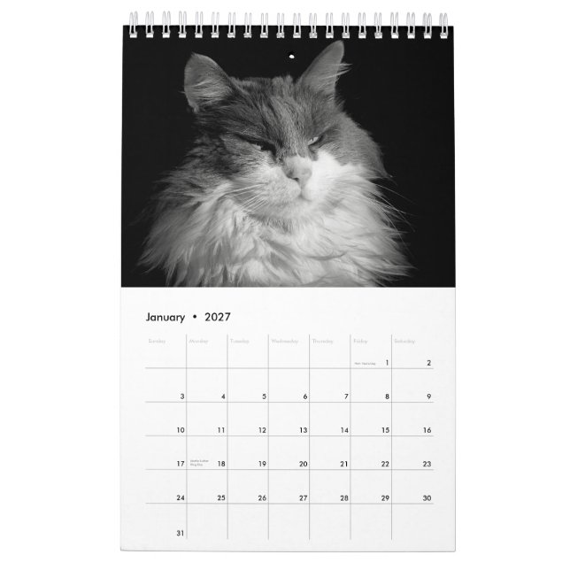 DJ's Cats One Page Kalender (Jan 2027)