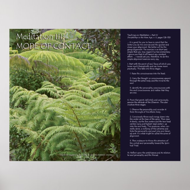 DK Meditationsreihe: Meditation III Poster (Vorne)