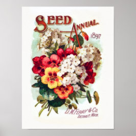 DM Blume Saatgut Vintage Werbung Poster