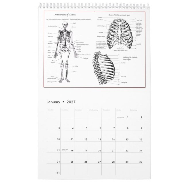 DM entbeint Kalender (Jan 2027)