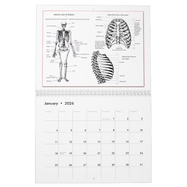 DM entbeint Kalender (Jan 2026)