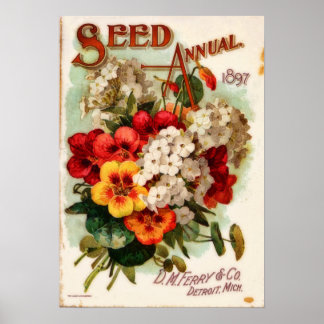 DM Ferry Vintag Blume Katalog Werbung Poster