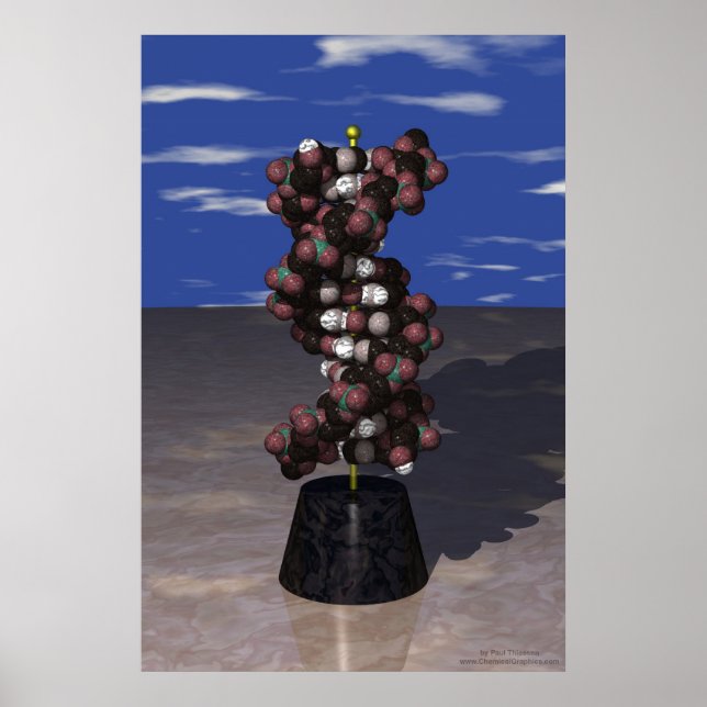 DNA auf dem Stand Poster (Vorne)