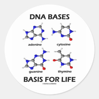 DNA-Basen für das Leben (Chemie-Moleküle) Runder Aufkleber