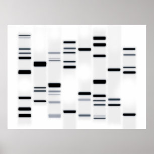 DNA-Code Schwarz auf Weiß Poster
