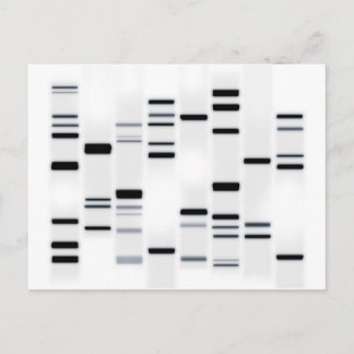 DNA-Code Schwarz auf Weiß Postkarte