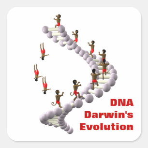 DNA Darwins Evolution Quadratischer Aufkleber