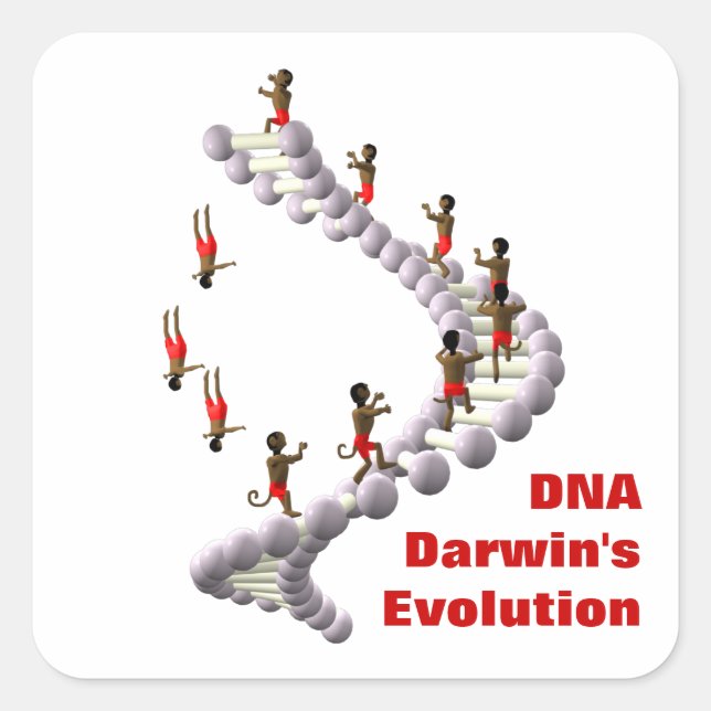 DNA Darwins Evolution Quadratischer Aufkleber (Vorderseite)