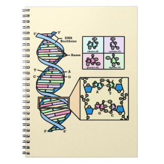 DNA-Diagramm Notizblock