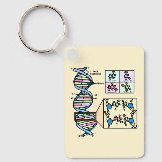 DNA-Diagramm Schlüsselanhänger