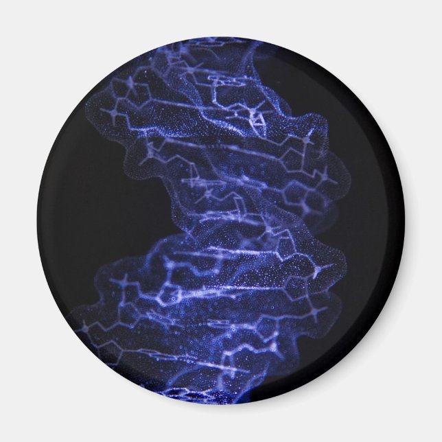 DNA Double Helix Kühlschrankmagnet Magnet (Vorne)