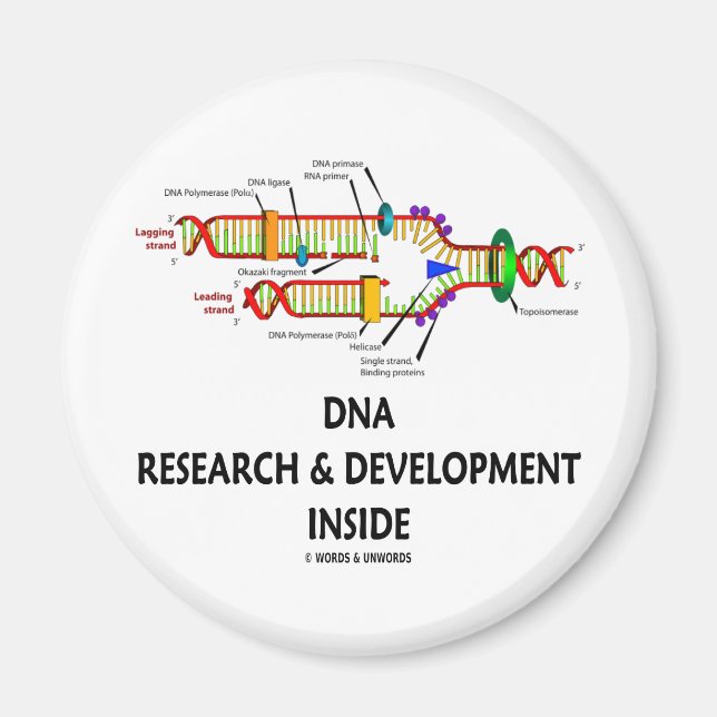 DNA-Forschung und -Entwicklung im Innern Magnet (Vorne)