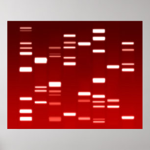 DNA Genetic Code Red Poster