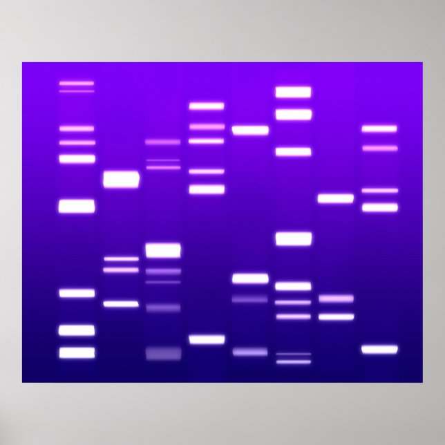 DNA-Genetik-Code Lila Poster (Vorne)